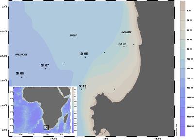 Marine Microbial Community Composition During the Upwelling Season in the Southern Benguela